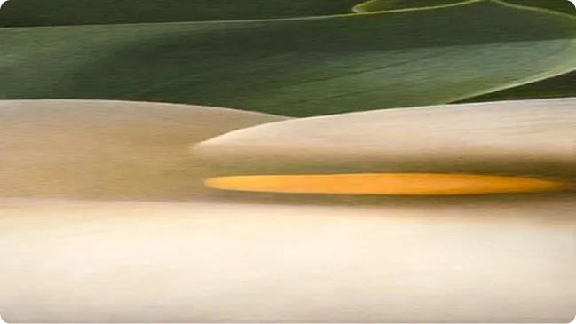 Essay Expander illustration